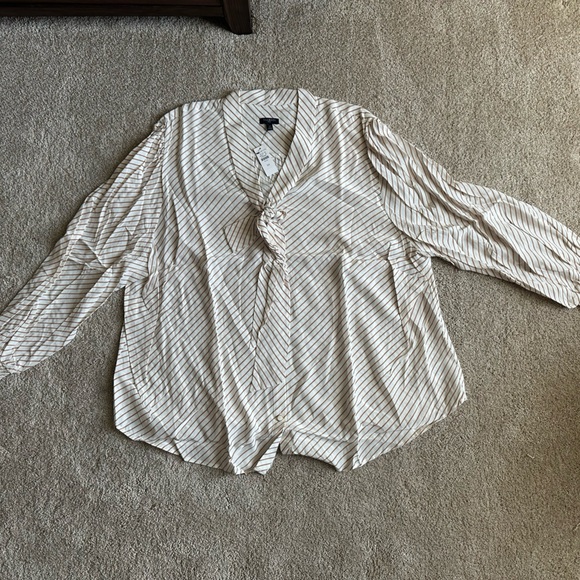 Talbots Cream and Tan Striped Button-Front Blouse - Picture 2 of 4